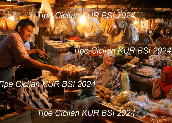 Tipe Cicilan KUR BSI 2024, Belum Banyak yang Paham!