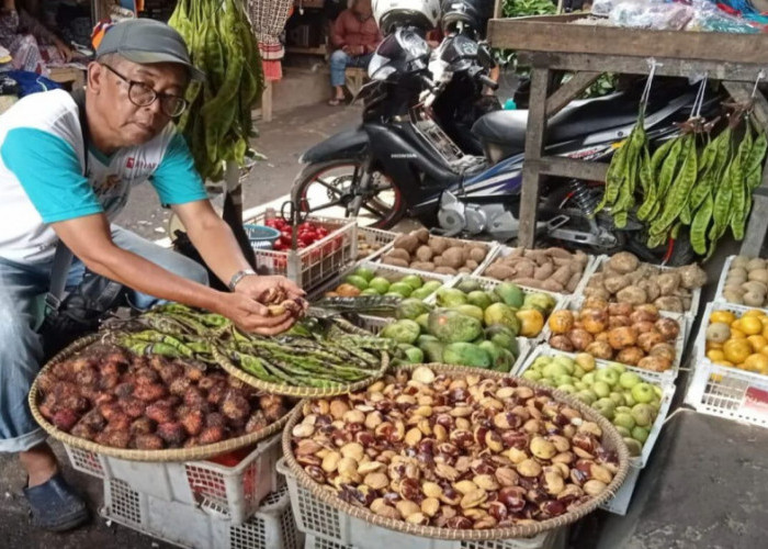 Harga Jengkol di Pasar Singaparna Tasikmalaya Tembus Rp100 Ribu, Cabai Merah Ikut Meroket