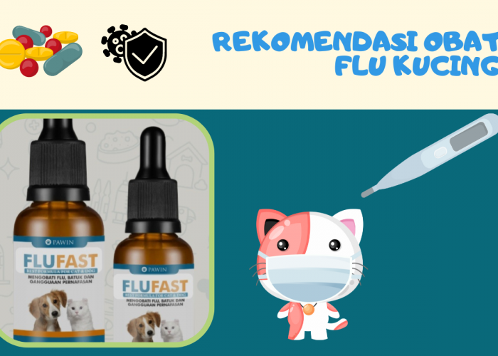9 Rekomendasi Obat Flu Kucing Dijamin Ampuh Mempercepat Penyembuhan Anabul