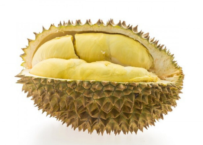 Wow! Durian Duri Hitam Harganya 600 Ribu Perkilogram, Banyak Diburu di Musim Durian Tahun Ini