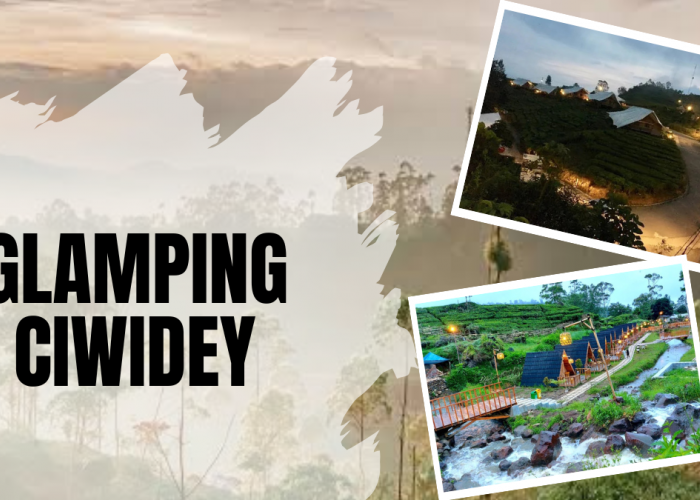 Musim Hujan di Ciwidey? Ini 4 Glamping Estetik dengan View Kabut Dramatis