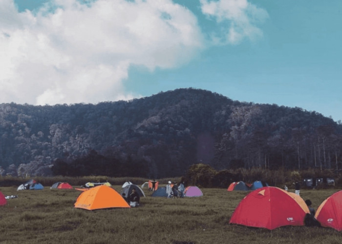 Tempat Camping di Bandung: Ranca Upas Favorit Sejak Dulu, Ada Bunga Rawa dan Penangkaran Rusa