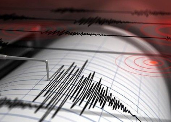 Gempa Bumi Mengguncang Pangandaran 5,2 SR. Tidak Ada Peringatan Tsunami, Aktivitas Kembali Normal