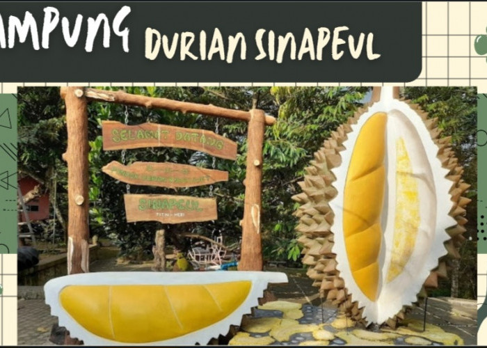 Mengisi Libur Akhir Pekan 2025 di Kampung Sinapeul, Surga Durian di Majalengka