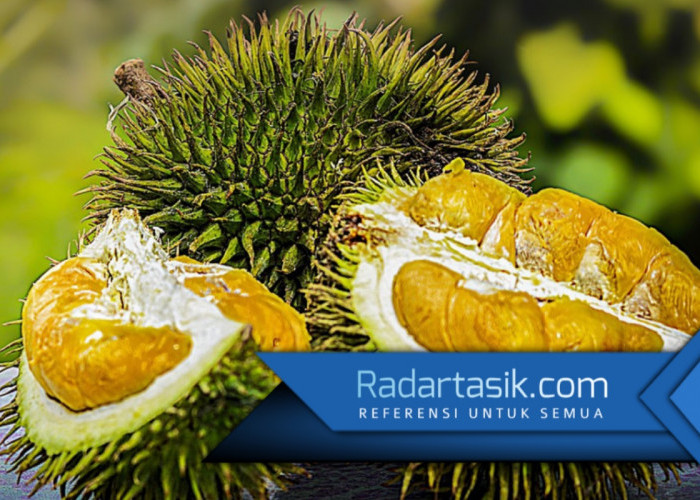 Nutrisinya Lengkap! Ini 6 Manfaat Biji Durian untuk Mencegah Penyakit dan Menjaga Kesehatan