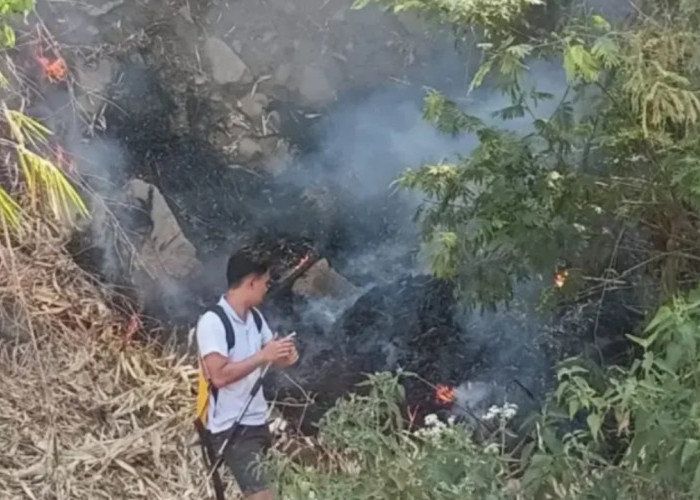Kebakaran Lahan di Kaki Gunung Cikuray Garut Meluas, Petugas Pilih Pantau dari Lokasi Aman