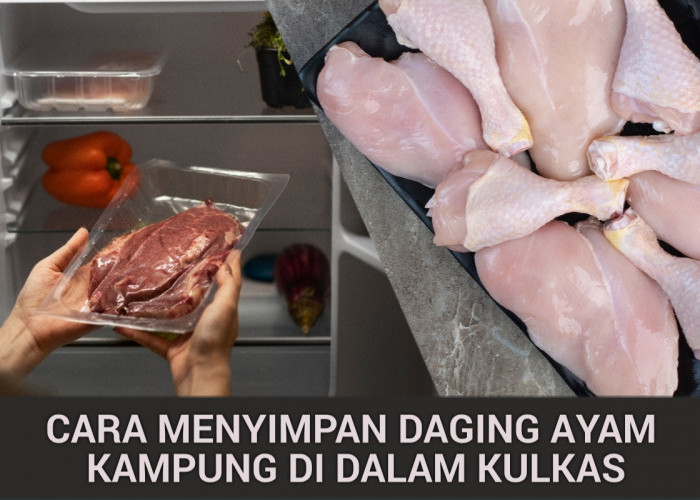 Sering Salah! Daging Ayam Kampung Disimpan di Kulkas Agar Tahan Lama dan Tetap Aman Dikonsumsi