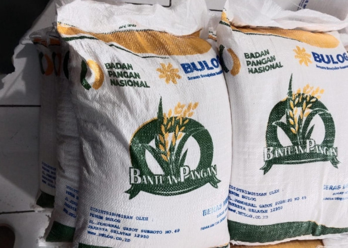 Mulai 17 Agustus, Pemerintah Tebar Bantuan Beras 10 Kg ke Puluhan Juta Keluarga Penerima Manfaat 