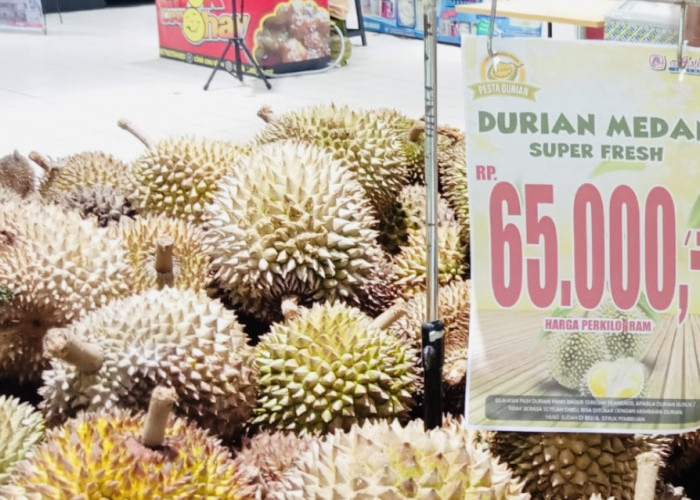 Manis dan Legitnya Durian Si Bolang Medan, Dijamin Matang di Pohon  