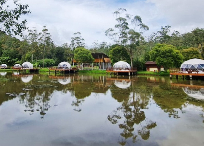Menikmati Keindahan Alam dengan Kenyamanan Hotel, Camping Mewah di Iglo Camp Ranca Upas Ciwidey
