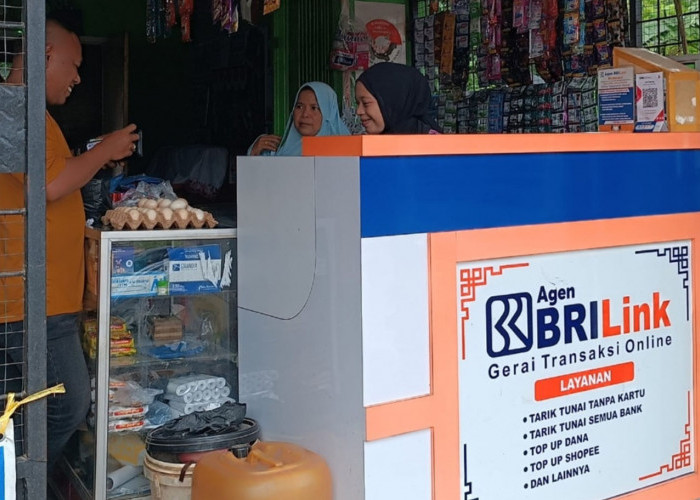 Berikut Cara Mencari Agen dan Keuntungan dari BRIlink