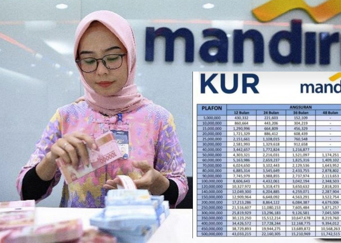 Skema Tabel Pinjaman KUR Mandiri 2025 Mulai Rp 20 Juta, Ini Jenis dan Cara Ajukannya