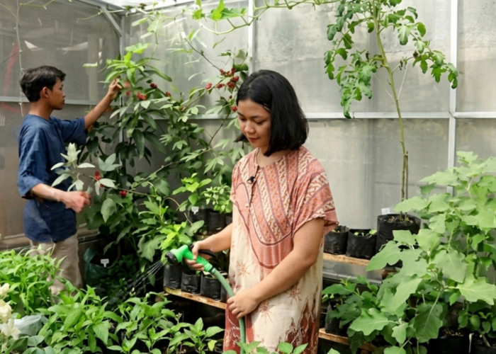 Berkebun Kini Digemari Anak Muda, Cara Sederhana Ubah Waktu Luang Jadi Lebih Produktif