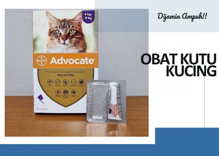 Rekomendasi 5 Produk Obat Kutu Kucing Terbaik Dijamin Ampuh! Membasmi Kutu Si Mpus