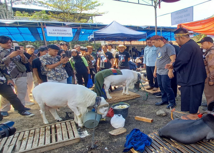 Penjabat Wali Kota Tasikmalaya Apresiasi Expo Peternakan dan Kontes Ternak 2024, Begini Katanya