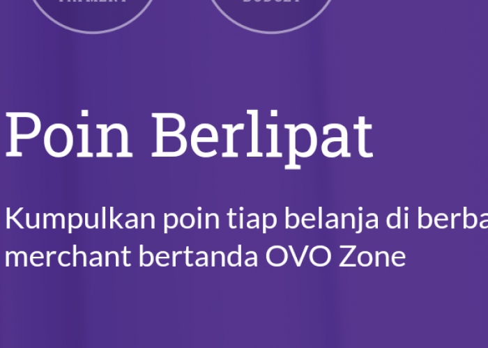 AYO Dapatkan Cashback OVO Points Hingga Rp250 Ribu, Pengguna OVO Club dan OVO Premier Harus Tahu!