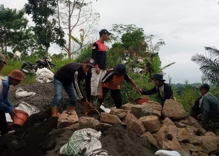 Tak Mau Gagal Tanam Akibat Sawah Kekeringan, Warga Desa Padawaras Swadaya Perbaiki Saluran Irigasi Jebol