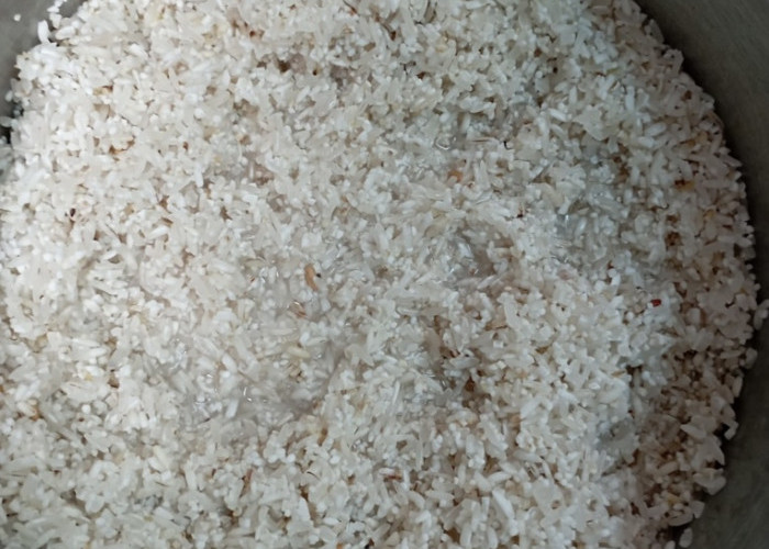 Cara Mengajukan Rice Cooker Gratis dari Pemerintah, Pelajari Aturannya!