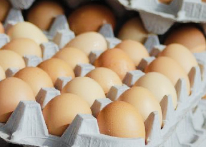 Harga Telur Ayam di Tasikmalaya Terus Meroket Nyaris Tembus Diharga Rp30 Ribu