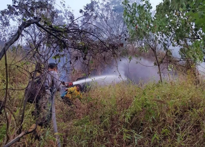 Kebakaran Gunung Ciremai: Api Sudah Bisa Dipadamkan, Hari Ini Luasan Lahan yang Terbakar Didata