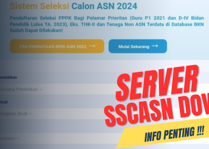 SSCASN Down: Kendala Pendaftaran PPPK 2024 di Hari Terakhir