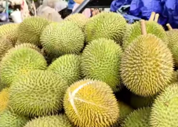 Terupdate! Daftar Harga Durian Lokal di Pasar Doro Pekalongan, Ada yang Dijual 150 Ribu Dapat 10 Buah