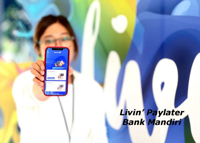 Pinjol Paylater Bank Mandiri Tanpa Jaminan Cair Sampai Rp 10 Juta
