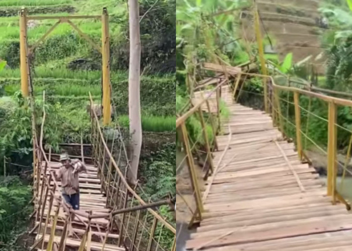 Jembatan Gantung Rusak di Culamega Kabupaten Tasikmalaya Jadi Sorotan, Petani Terancam Kehilangan Akses