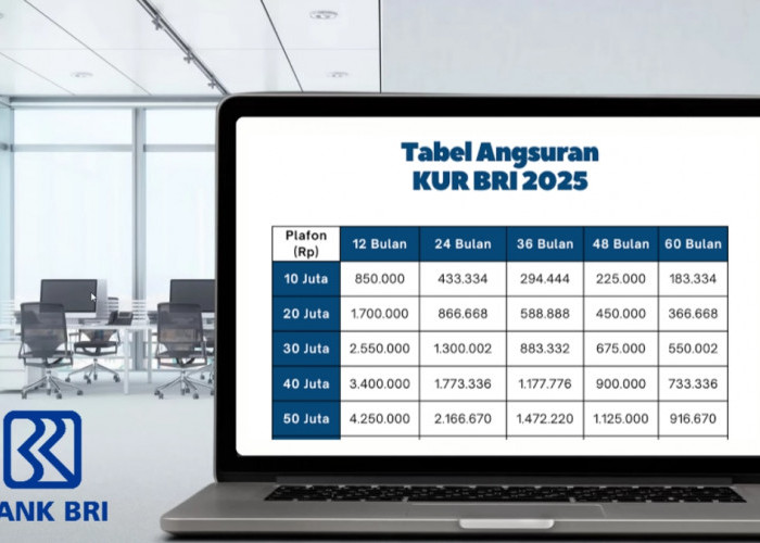Simulasi Tabel Angsuran KUR BRI 2025: Pinjaman Mulai Rp 1 Juta, Lengkap Syarat dan Cara Pengajuannya