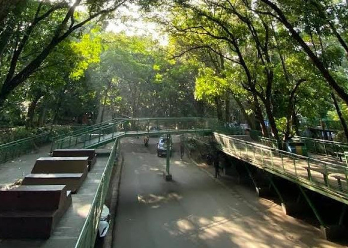 Kamu Mau ke Baksil? Ini Tata Tertib di Taman Hutan Kota Babakan Siliwangi, Rasakan Segarnya Udara Bandung