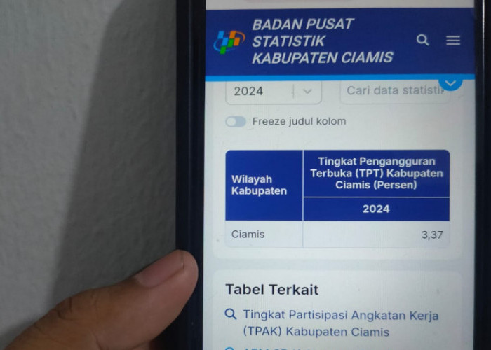 Penurunan Tingkat Pengangguran di Ciamis: Pertumbuhan UMKM Jadi Faktor Utama