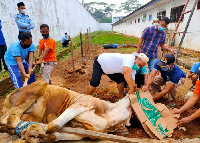 Adab Menyembelih Hewan Qurban: Panduan Lengkap untuk Melaksanakan Qurban dengan Benar