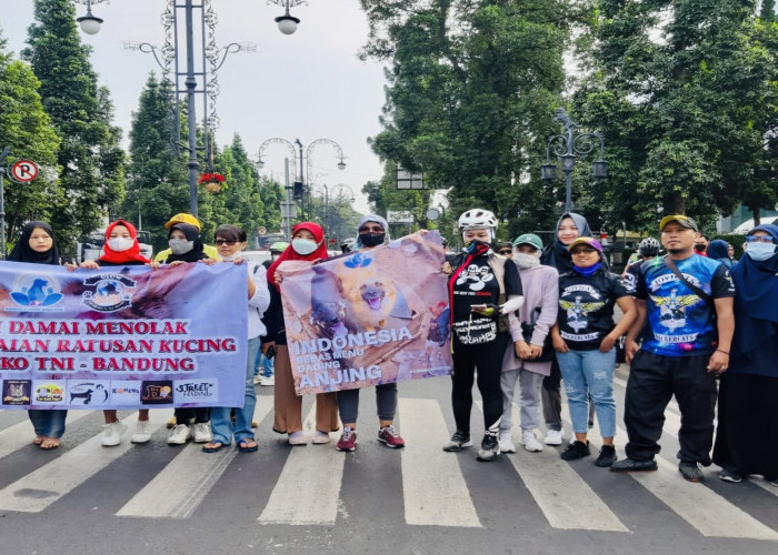 Ini Aksi Damai Para Pecinta Kucing di Bandung, Buntut dari Kejadian Penembakan Kucing di Sesko TNI