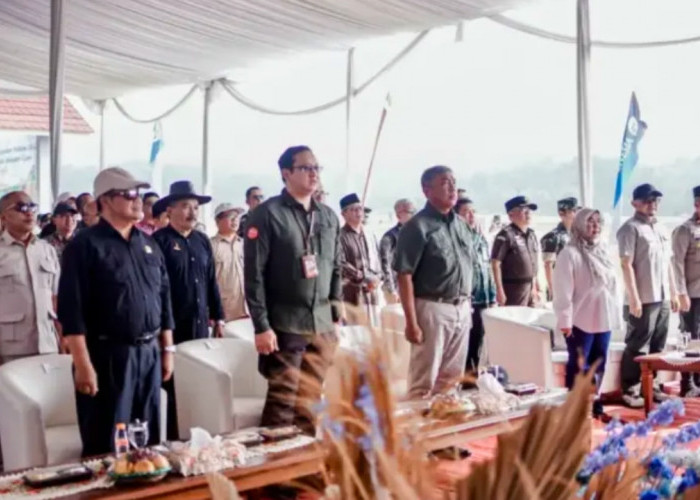Panen Padi Organik Ciamis Berhasil, Pemkab Resmikan Sekretariat Klaster untuk Perkuat Pertanian Berkelanjutan