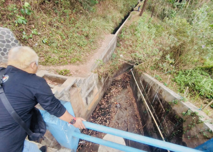 Air Situ Leutik Kota Banjar Surut, Pesawahan di Dua Desa Alami Kekeringan Hingga Puluhan Hektar 