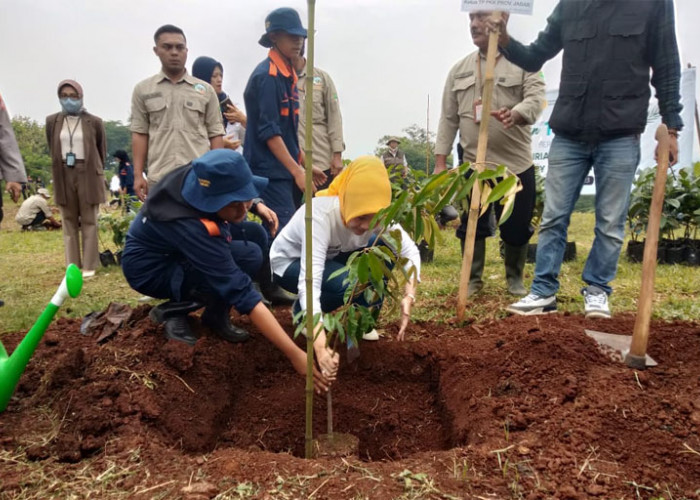 Atalia Ridwan Kamil Kampanyekan Tanam Pohon Buah, Ibu Negara Apresiasi Pemprov Jabar