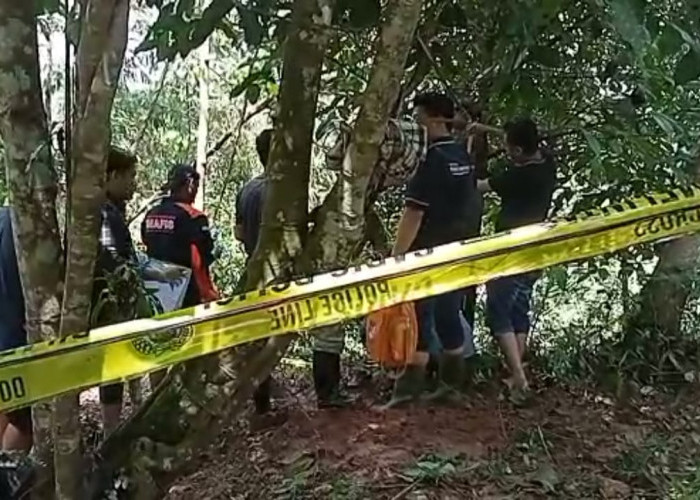 Pria Lansia di Cibalong Tasikmalaya Ditemukan Tergantung di Pohon Manggis