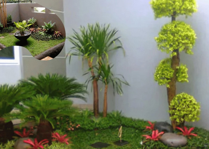 Rumah Tipe 36 Bisa Asri, Ini 7 Ide Taman Mungil Super Hemat Ruang