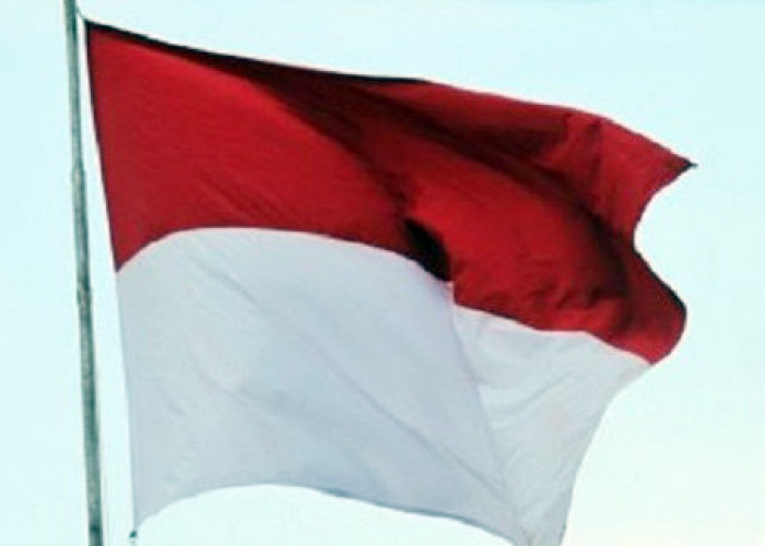 50 Penyelam Bentangkan Bendera Merah Putih di Dasar Laut Manokwari