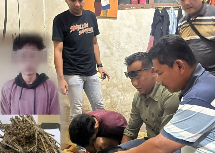 Polisi Ciduk Oknum Mahasiswa dari Kamar Kosnya Ditemukan Ganja