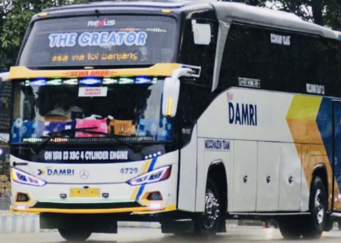 Perusahaan Bus Damri Layani Angkutan Lintas Batas Negara, Ada Rute Kupang-Dili di Timor Leste