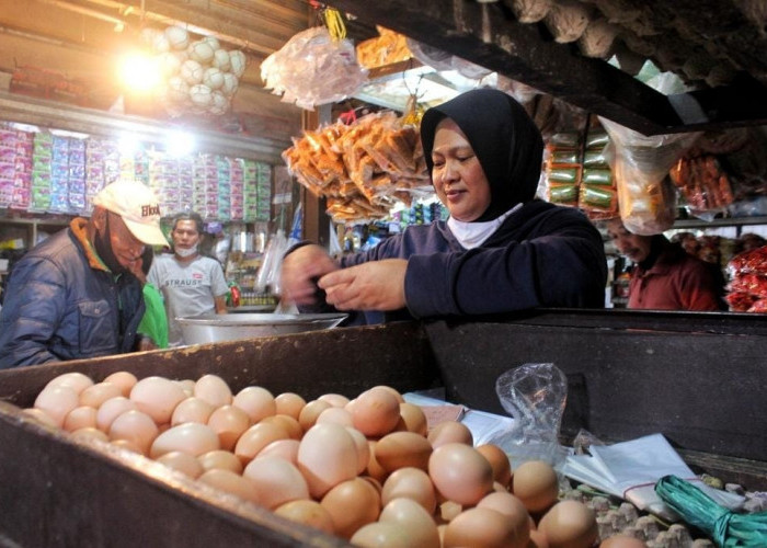 Harga Telur Ayam Tembus 33 Ribu, Jokowi: 2 Minggu Ini Harga Telur Turun