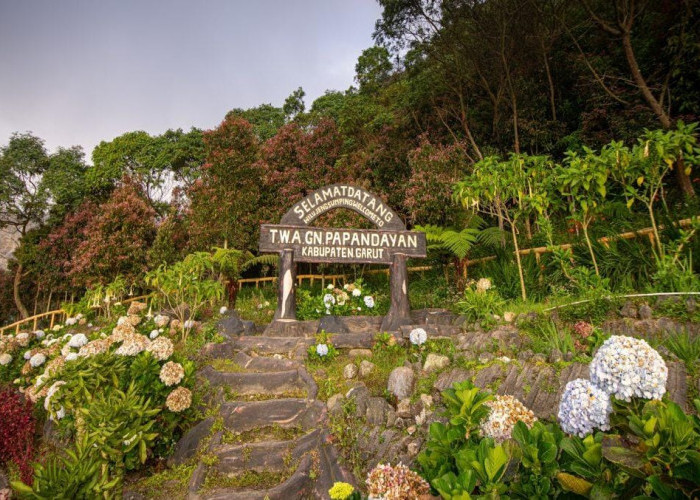Wow Gunung Papandayan Jadi Rekomendasi Gunung Favorit di Jawa Barat, Apa Saja Keindahannya?