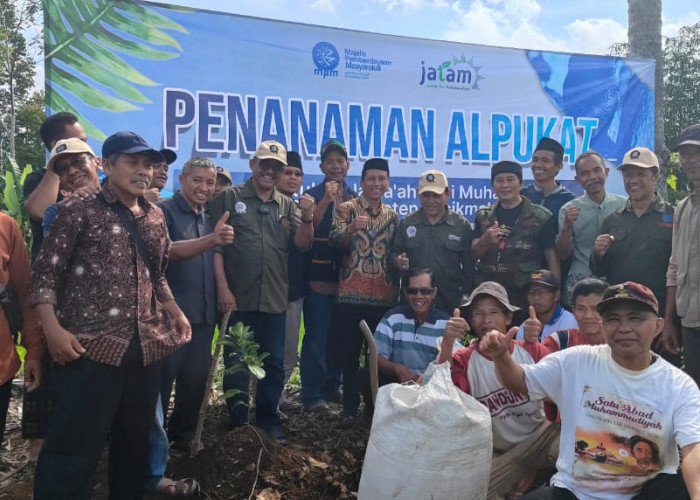 Berdayakan Petani, Muhammadiyah Kabupaten Tasikmalaya Tanami Tanah Wakaf dengan Ratusan Pohon Alpukat