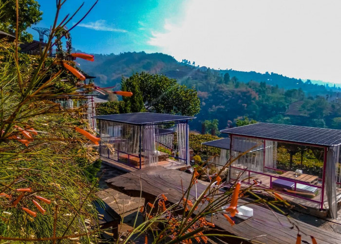 Panoramic Coffee  Wisata Alam dan Kuliner Menarik di Lereng Anteng Bandung
