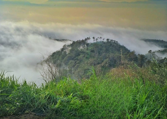 Tempat Pendakian di Bandung, Gunung Manglayang Keunikan Mendaki Melalui Jalur Barubeureum