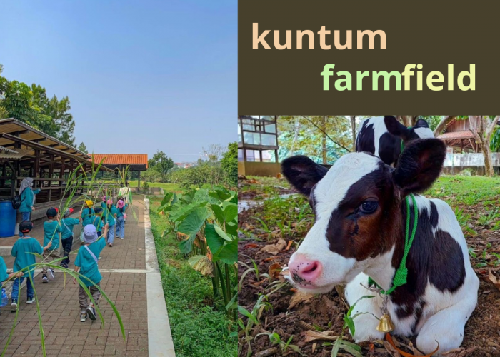 Kuntum Farmfield Bogor, Destinasi Wisata yang Cocok untuk Anak-anak