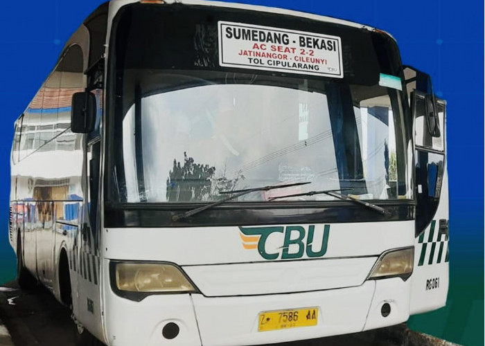 6 Perusahaan Bus Ternyata Satu Holding di Mayasari Group, Satu Perusahaan Masuk 5 Besar di Indonesia