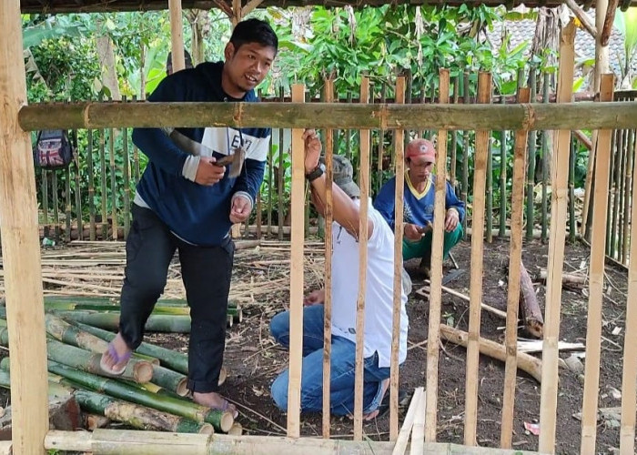 Siswa SDN Sinagar Cikatomas Tasikmalaya Belajar di Bangunan Darurat, Terbuat dari Kayu dan Bilah-bilah Bambu