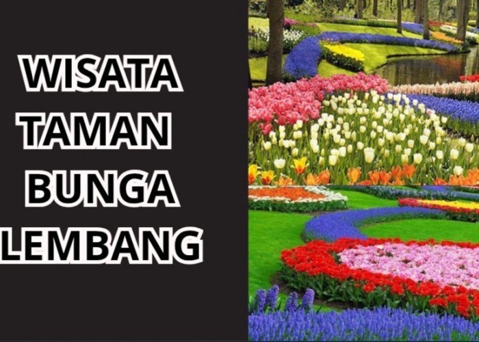 4 Objek Wisata Taman Bunga Lembang yang Ramah untuk Lansia, Minim Jalan Kaki
